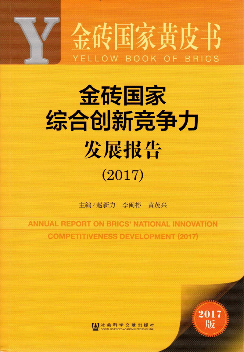 嗯～啊～黄色网站金砖国家综合创新竞争力发展报告（2017）